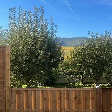 Aux Pieds Des Vignes Eguisheim