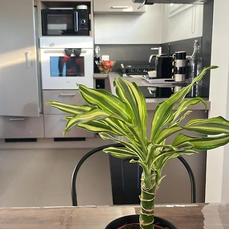 Apartment Aux Pieds Des Vignes *