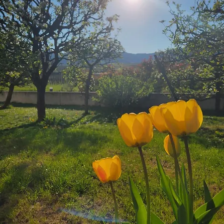 Διαμέρισμα Aux Pieds Des Vignes