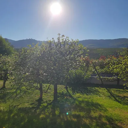 Aux Pieds Des Vignes Apartment