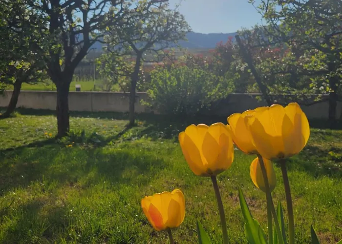 Διαμέρισμα Aux Pieds Des Vignes