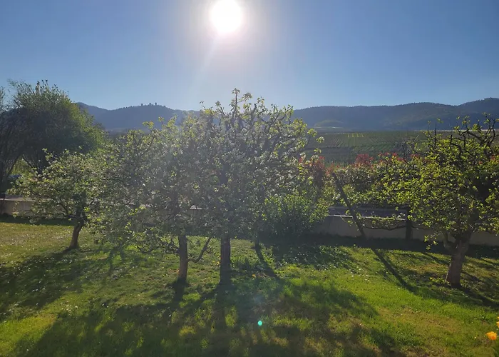 Aux Pieds Des Vignes Διαμέρισμα